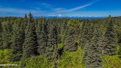 15466 Tovarish Rd, Ninilchik, AK 99639 - photo 2