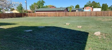 View of back yard