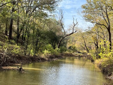 TBD State Highway 155, Winona, TX 75792 - photo 6