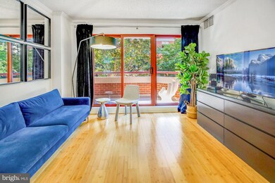 Emerson House on the Park unit 210, Washington, DC 20037 - photo 6