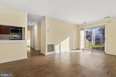 18336 Streamside Dr unit 104, Gaithersburg, MD 20879 - photo 3