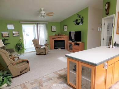 308 Willow St SW unit 14, Orting, WA 98360 - photo 6