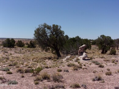 Vacant land May 027