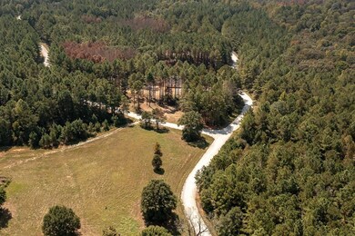 181 Riversong Rd unit 55, Carrollton, GA 30117 - photo 2