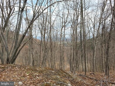 0 Lucas Hollow Rd unit 1002412948, Stanley, VA 22851 - photo 6