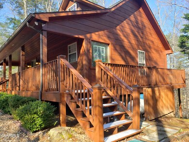 Side of cabin wrap around porch