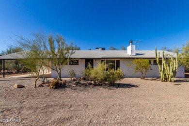 02 Camino Saguaro