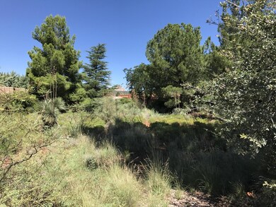 Mature trees
