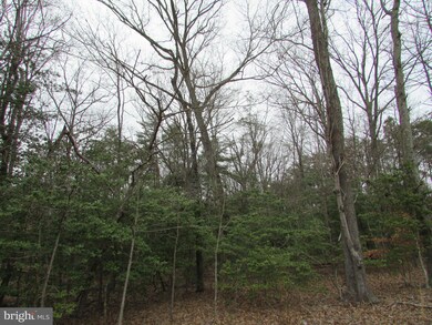 Lot 10 Settlers Ln, Washington, VA 22520 - photo 5