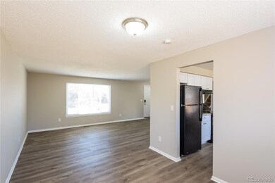 1050 S Kalispell St, Aurora, CO 80017 - photo 7