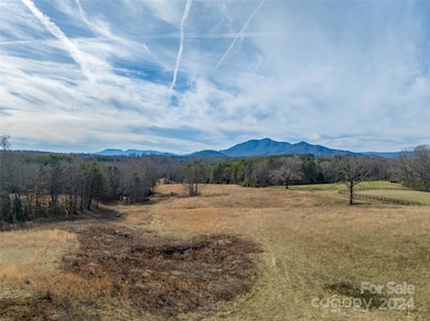 Lot 48.2 A R Thompson Rd, Mill Spring, NC 28756 - photo 7