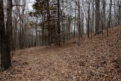 TBD S Hwy 71, Winslow, AR 72959 - photo 3