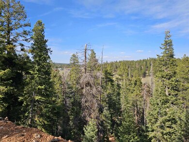 Resized_20250522_172713