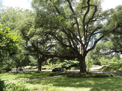 front yard