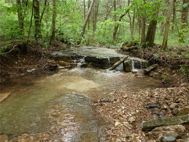 0 Ria Ln unit 1146997, Eureka Springs, AR 72631 - photo 2