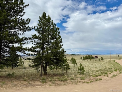 311 Harness Way, Hartsel, CO 80449 - photo 2