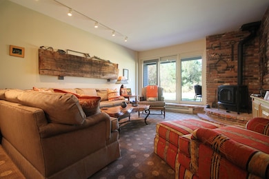 Cozy living room with propane stove