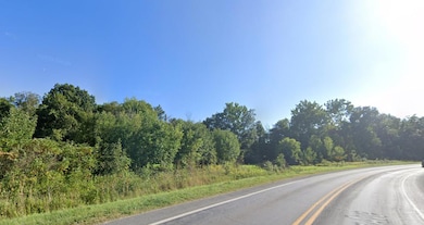 VL E Napier Ave, Benton Harbor, MI 49022 - photo 3