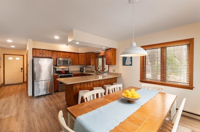 10 Elm Brook Rd unit 9, Conway, NH 03818 - photo 5