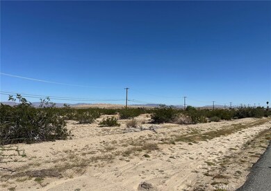 29 Palms Hwy, Twentynine Palms, CA 92277 - photo 6