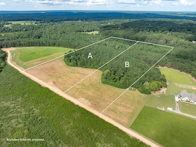 Parcel A J Runnels Rd, Petal, MS 39465 - photo 2