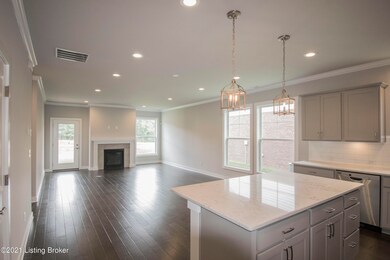 8816 Sanctuary Ln, Louisville, KY 40291 - photo 5