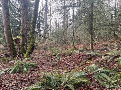 0 XX Valley View Rd, Sedro Woolley, WA 98284 - photo 4