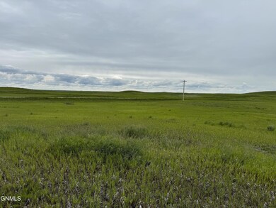IMG_1354