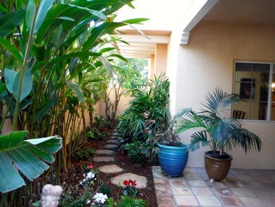 Patio2