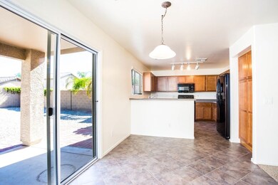 5 - Desert Holly ST