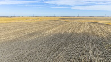 1-117-48W Lowe Twp Deuel County, Revillo, SD 57259 - photo 5