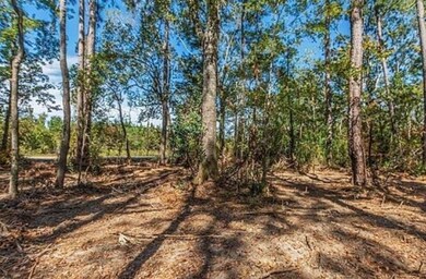 35220 La Hwy 441 None, Holden, LA 70744 - photo 6