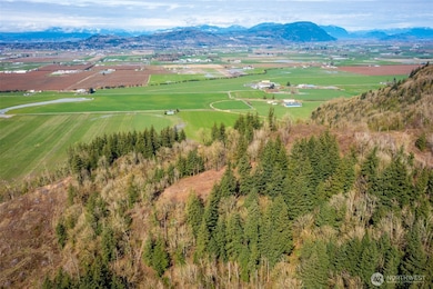 48 XX Reese Hill Rd, Sumas, WA 98295 - photo 6