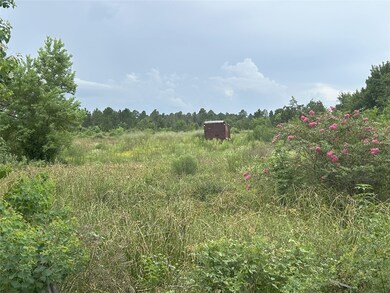 29913 Waller Spring Creek Rd, Waller, TX 77484 - photo 4