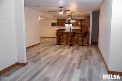 326 N Main St, Xenia, IL 62899 - photo 6