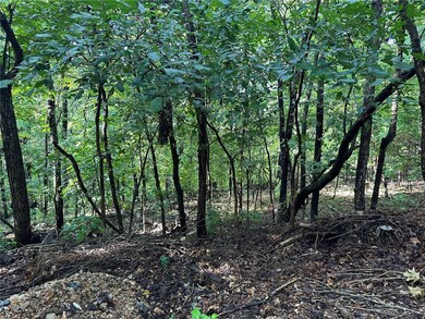 0 Pimlico Ln unit 1258601, Bella Vista, AR 72714 - photo 3