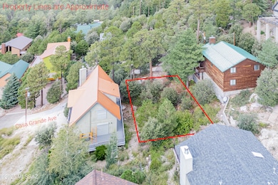 12632 N Casa Grande Ave unit 18, Mt. Lemmon, AZ 85619 - photo 3