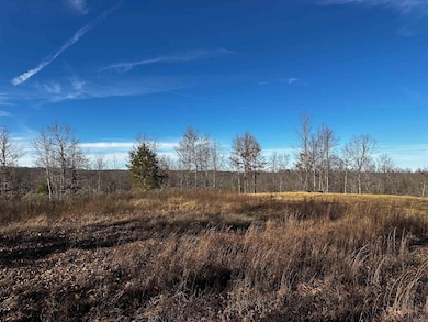 000 Heulan Way, Mountain View, AR 72560 - photo 3