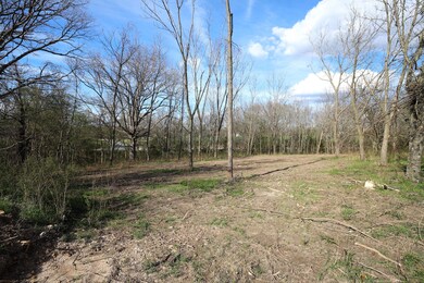 000 Tract #1 Shelvin Rock Rd, Nixa, MO 65714 - photo 4