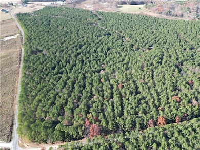 Lot 3 Willie Rd, Seagrove, NC 27341 - photo 2