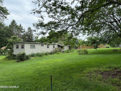 Side Yard View