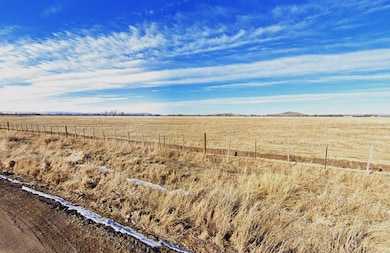 0 Gallup Trail unit 25580654, San Luis, CO 81152 - photo 6