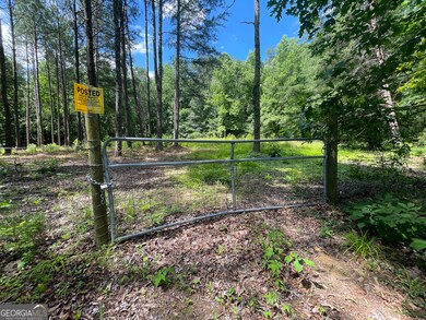111 + - Acres Off Slate Mine Rd, Fairmount, GA 30139 - photo 6