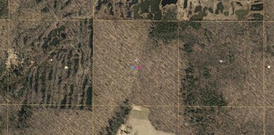 180066 Damitz Rd, Aniwa, WI 54408 - photo 2