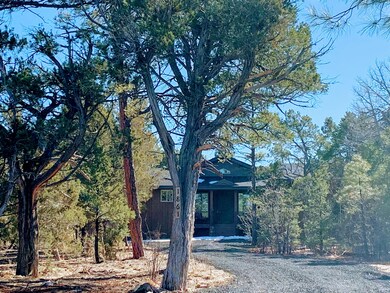 In the woods of Torreon
