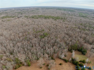 0 Gallop Ln unit 2532719, Dabneys, VA 23102 - photo 4