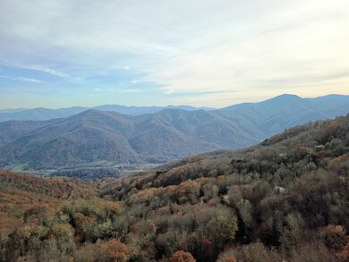 Drone photo with estimated view in front of trees 