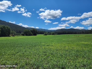 NKA Desmet, Desmet, ID 83824 - photo 4