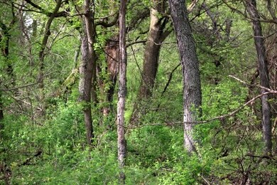 26 AC Hubred Ln, Cottage Grove, WI 53521 - photo 7