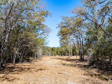 12191 County Road 414, Somerville, TX 77879 - photo 3